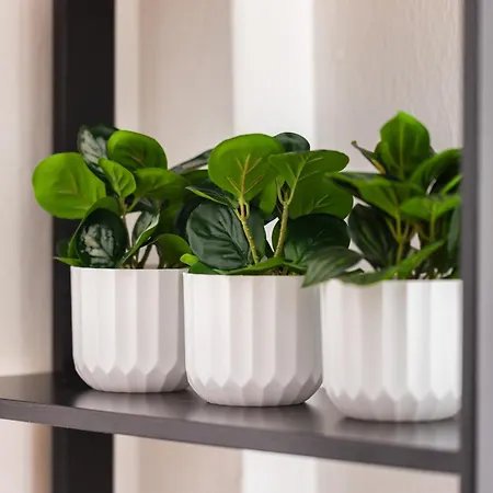 Apartment Mynd Retreat By Binobi! *